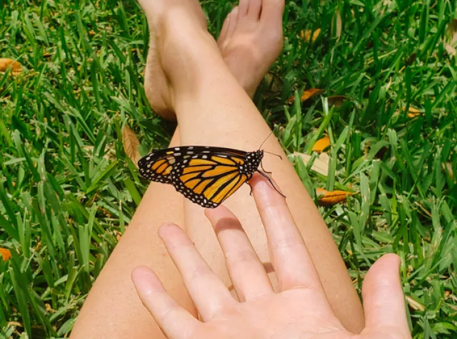 Immagine di una bambina sdraiata sul prato. Simboleggia l’impegno di Pluxee nell’aiutare le persone a fare scelte sostenibili